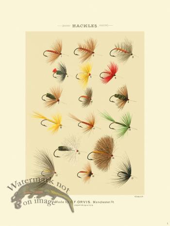 Favorite Flies 01 Hackles